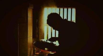 猫与鱼的爱情,猫与鱼的爱情故事