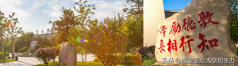 陕西6个学霸宿舍火了！个个神仙颜值，还都来自同一所大学