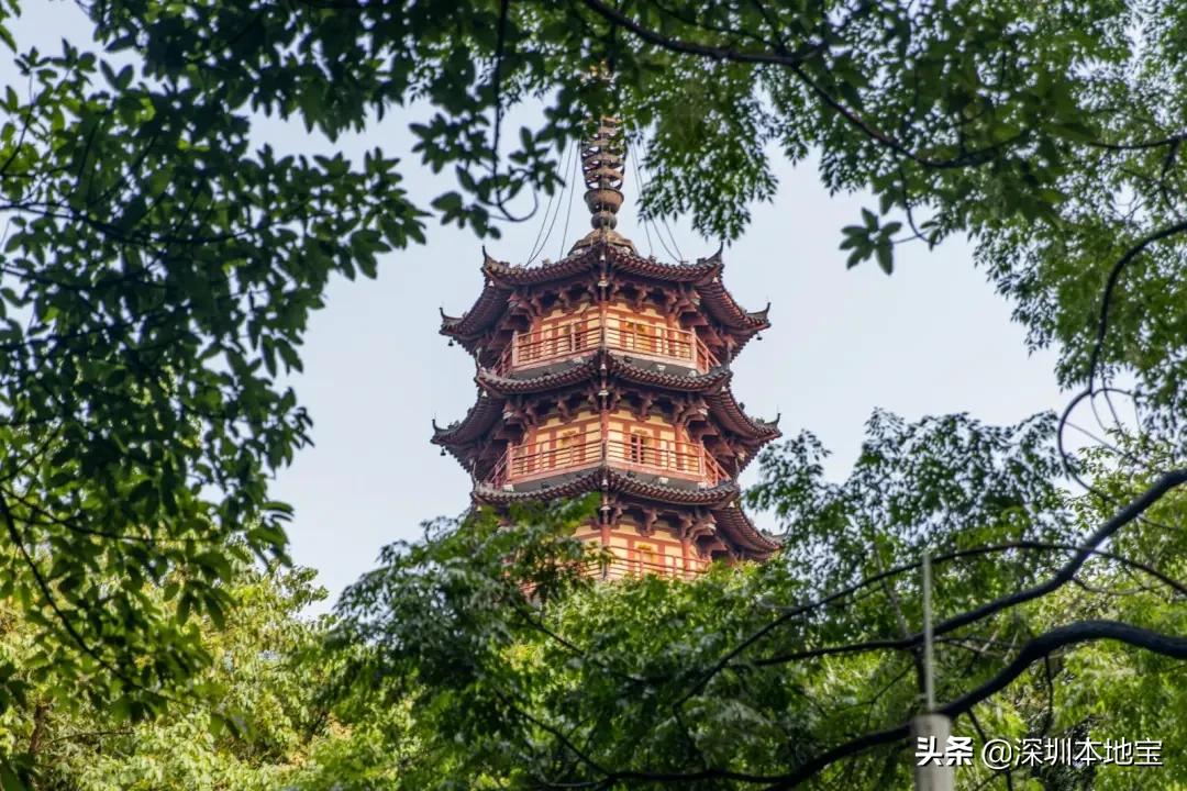 深圳完全免费的十大景点,深圳10大免费景点上集