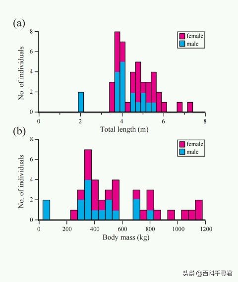 即将灭绝的五头鲨巨口鲨,趣科普最危险的鲨鱼远洋白鳍鲨