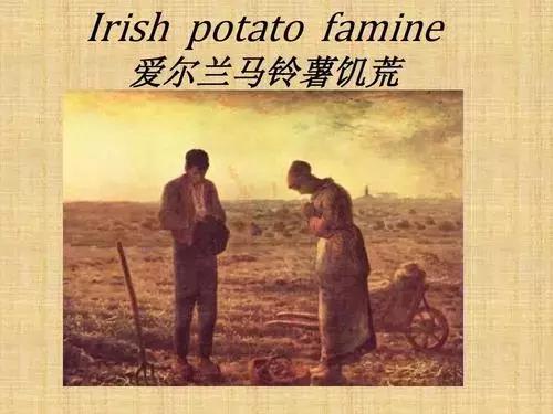 张若昀唐艺昕去哪个国家结婚,张若昀和唐艺昕的绝美婚礼