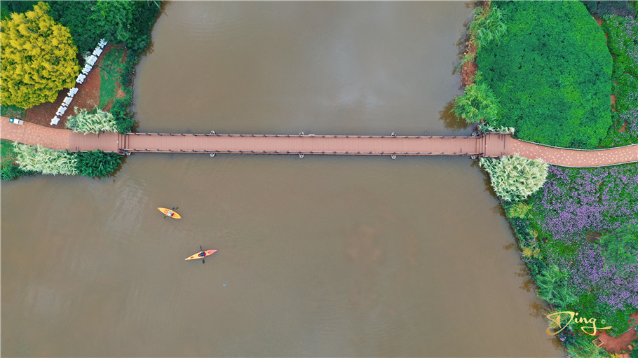 婊囨睜鍙ゆ粐鐜嬪浗闇茶惀,浜戝崡鎴峰閲庡ア钀ュ湴鎺ㄨ崘