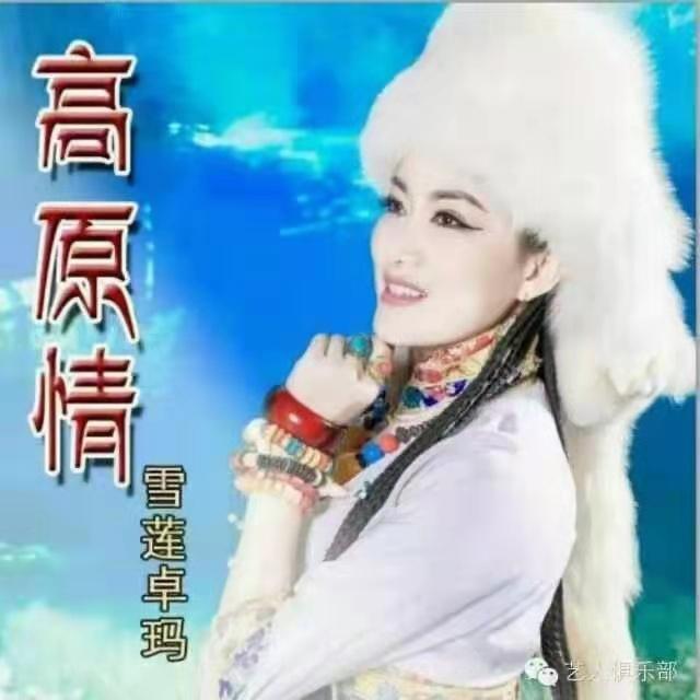 魅力中国中外歌唱家演唱会,魅力中国央视主持人