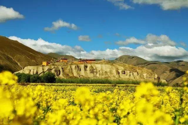 古墓探秘之破解南越王墓之谜,解密神秘王陵