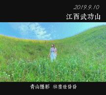 不倒翁小姐姐抖音,抖音百万点赞不倒翁小姐姐