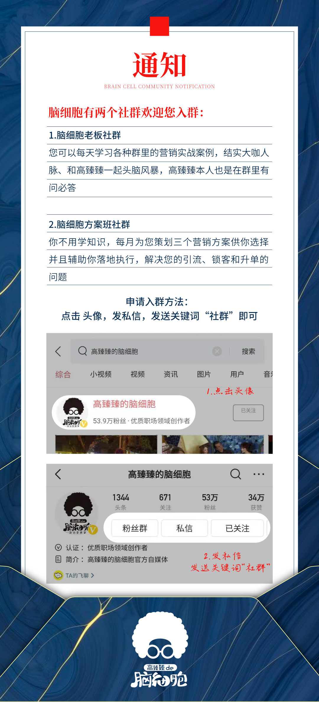 用动物做品牌宣传要版权吗,人工制作小动物宣传
