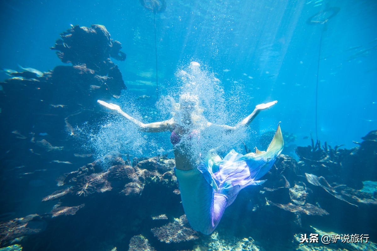 天房洲际与亚特兰蒂斯,天房洲际酒店和亚特兰蒂斯