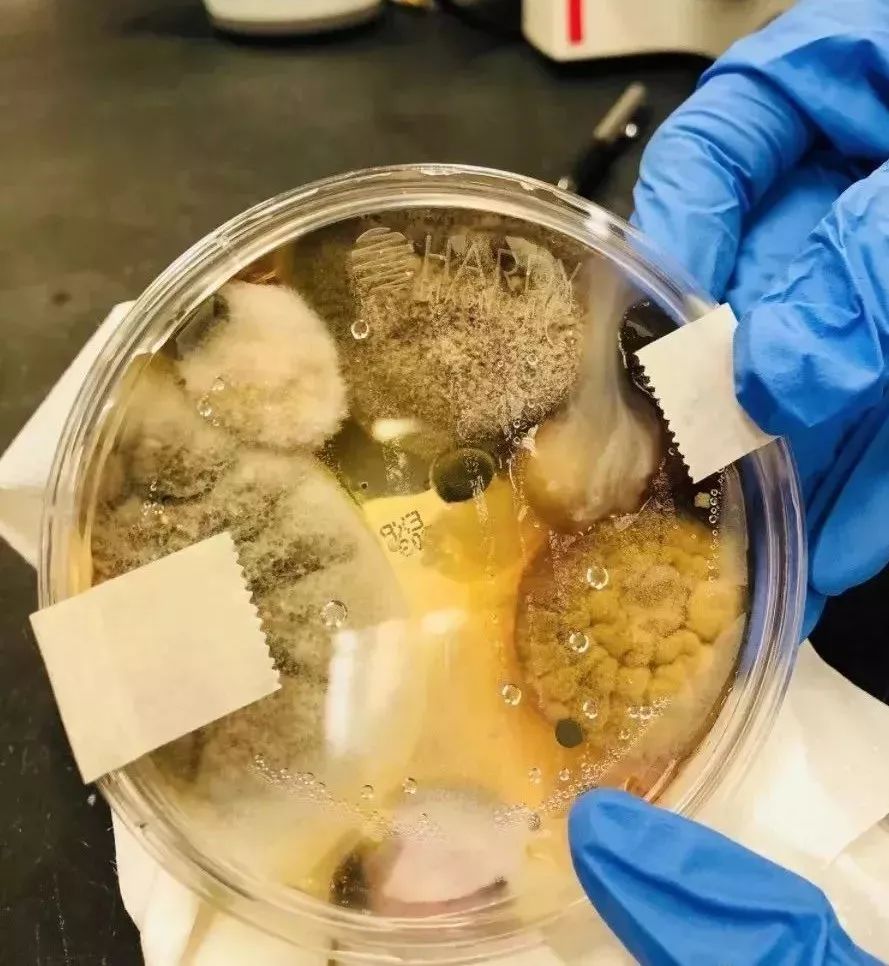 看似干净的东西原来这么脏！做到这几点，孩子少生病