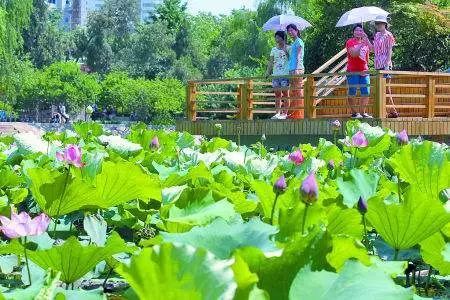 郑州五一近郊游的好地方,不出郑州就能游玩的地方