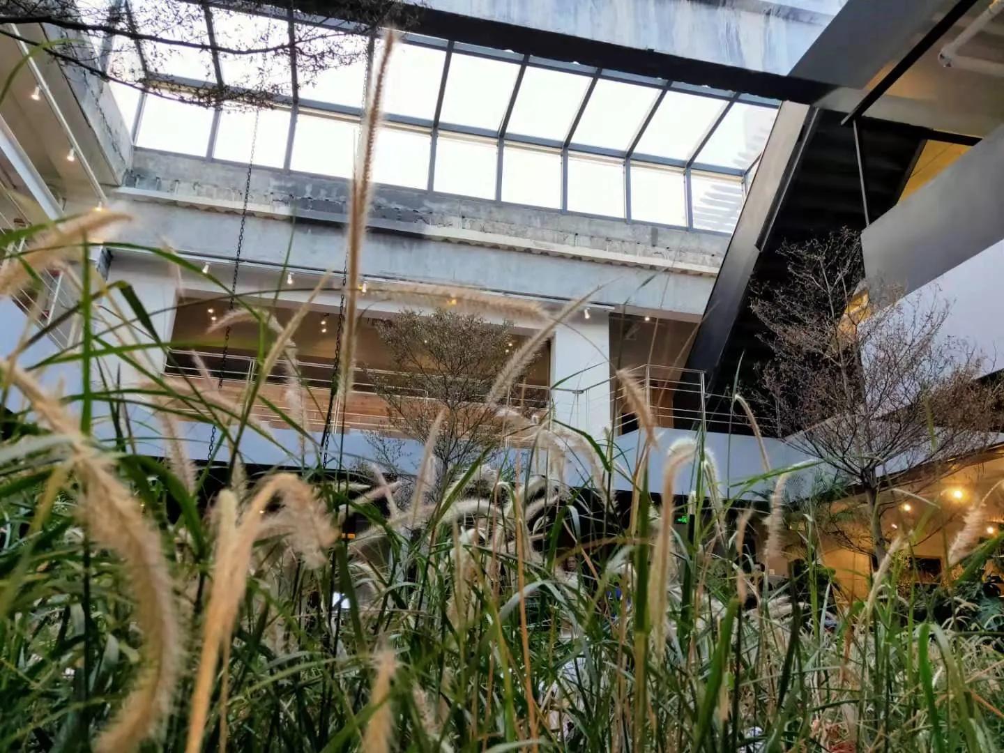 联发华美空间让你爱上厦门的又一个理由穿梭复古潮流领地