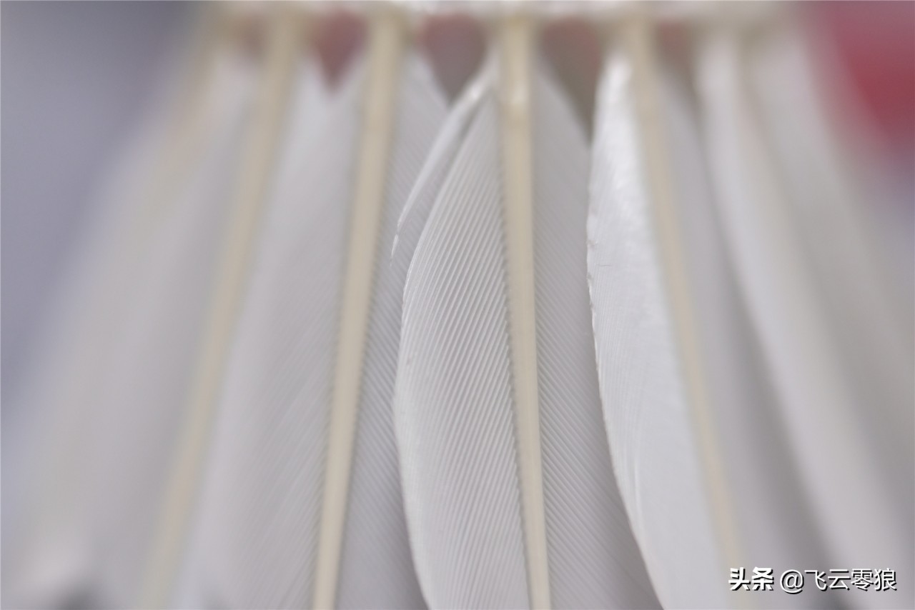 「中羽在线飞云零狼」威羽斯钻一钻二钻五评测——高性价比鹅毛球