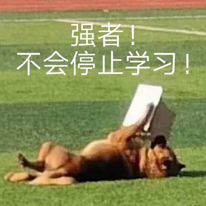 十大摸鱼游戏网站排名,摸鱼必备游戏