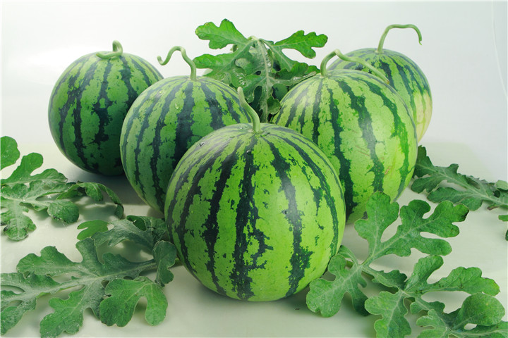 西瓜造成根腐病的原因,西瓜出现根腐病怎么治疗