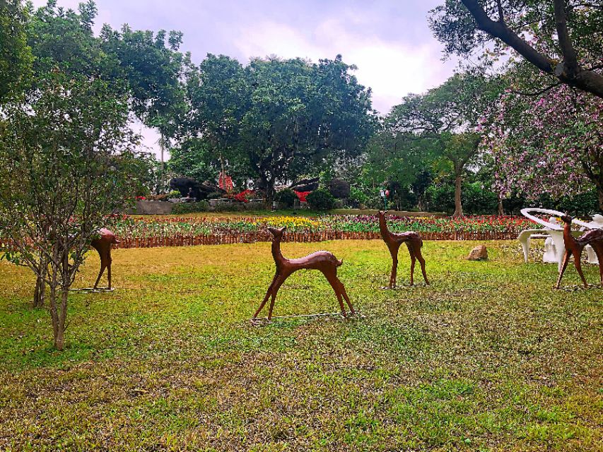 广州云台花园全景视频,广州云台花园美景