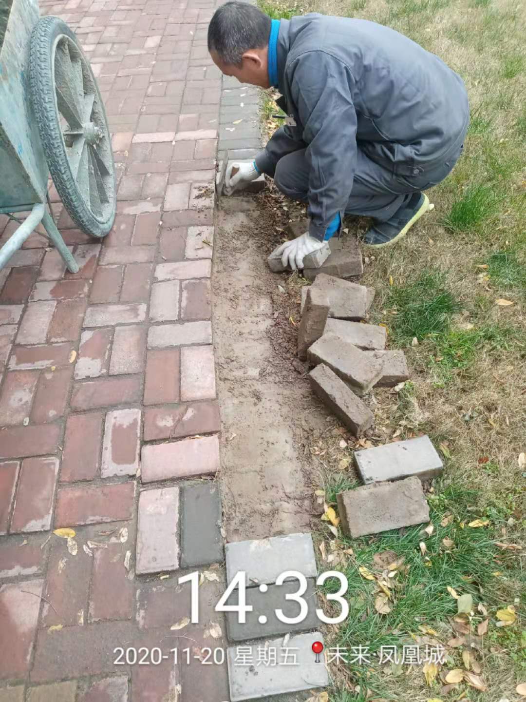 凤凰城二期物业管理,凤凰城物业现状