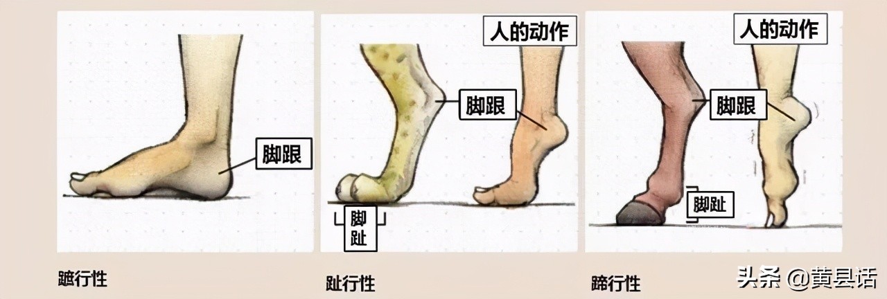 樊哙之死全过程,樊哙啖彘肩图片