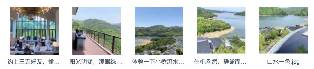 我报了3999元的绿茶屌速成班，后悔