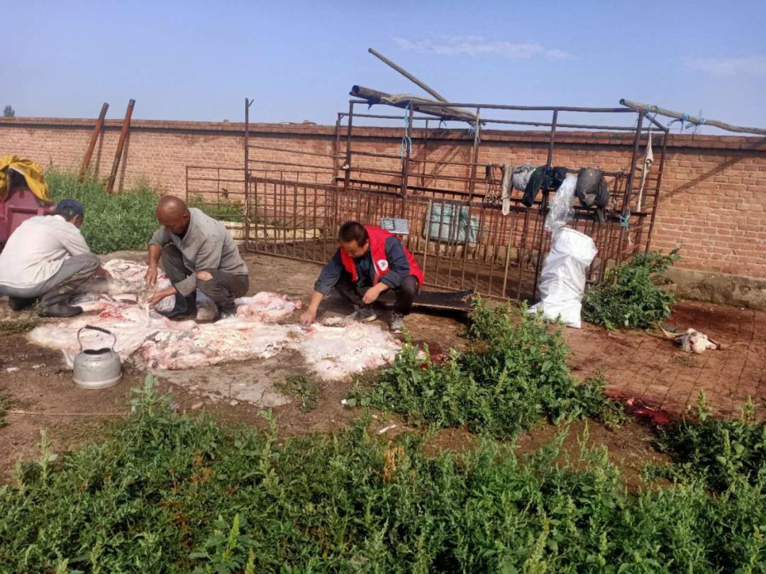 【固阳县】【固阳县新时代文明实践一周快讯】