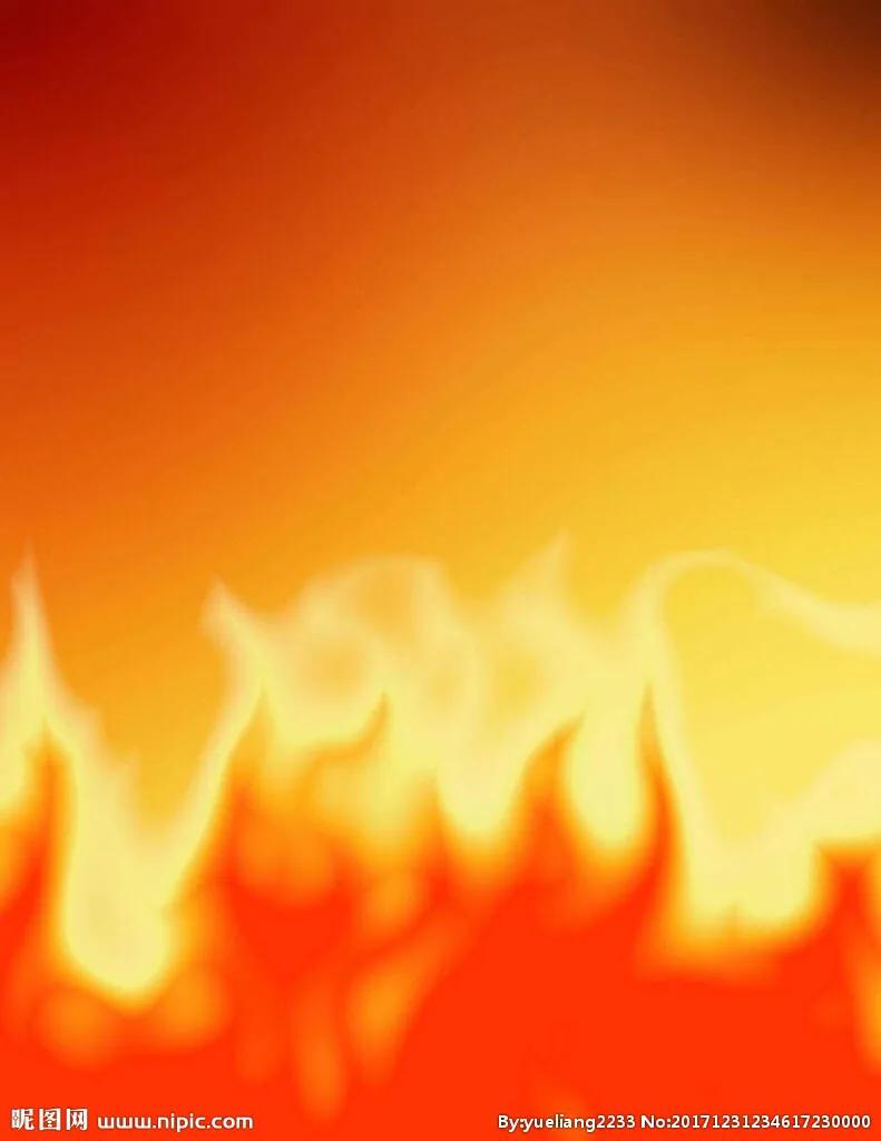 物种起源纪录片,物种的起源全文免费阅读