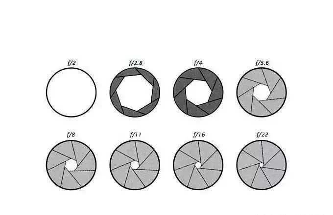 新手入门佳能单反相机推荐,新手入门单反相机如何设置