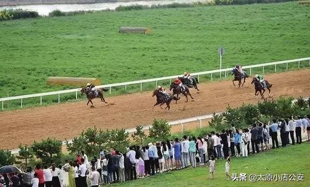 距离二青会还有22天，一睹这些比赛场馆的颜值！