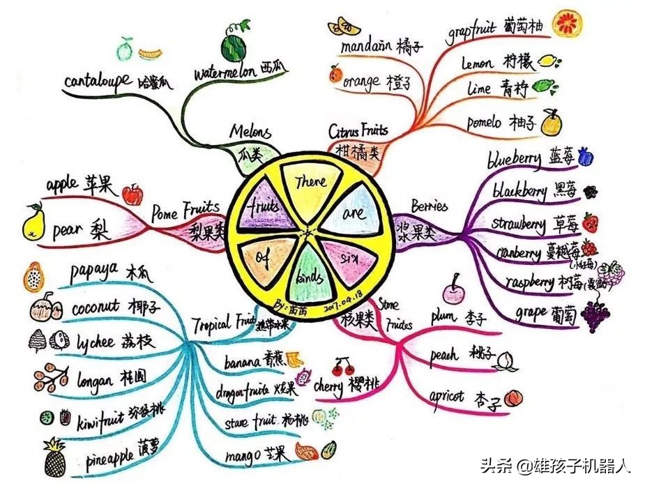 干货！美国幼儿园就使用的思维导图：让孩子学会自主学习和规划