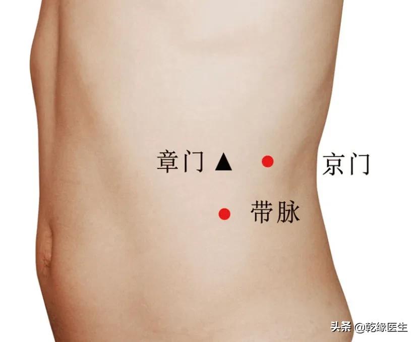 六脏六腑各有一募穴（二）