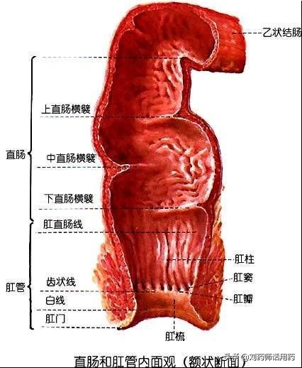 直肠给药的效果好不好,小儿直肠中药滴灌给药的优点