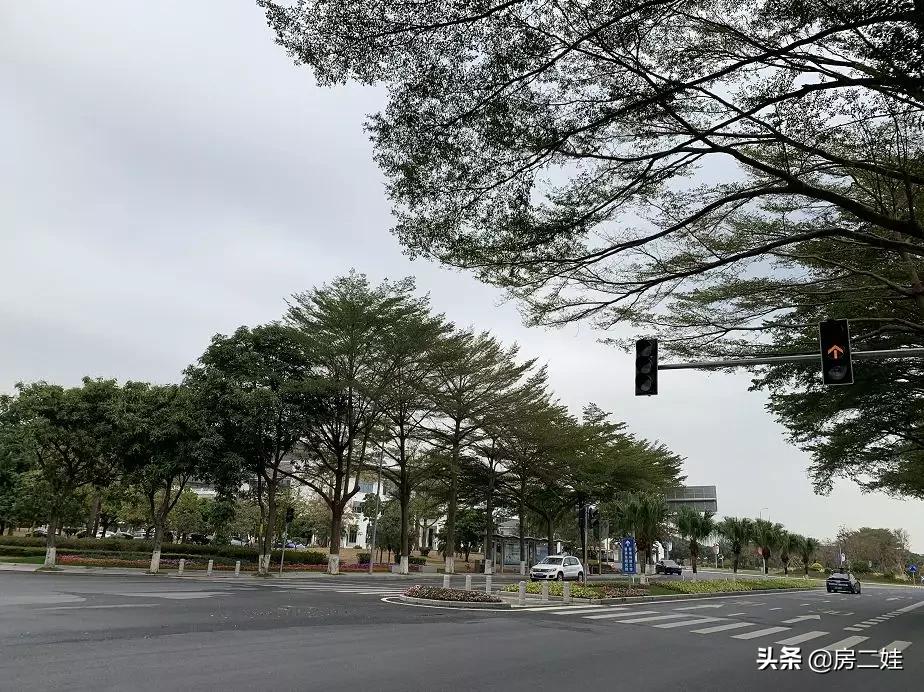 去了一趟广州的感悟,去了一趟广州的心情说说