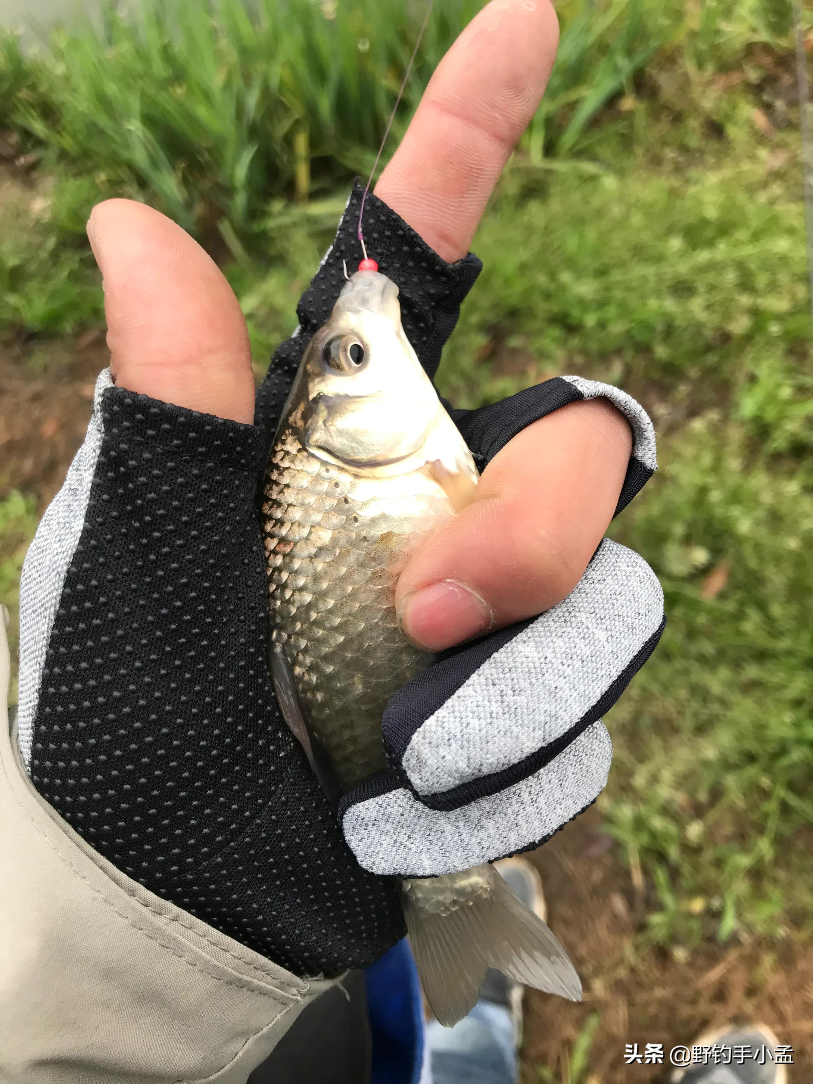 正确泡沫珠钓法图解,泡沫珠珠钓鱼方法