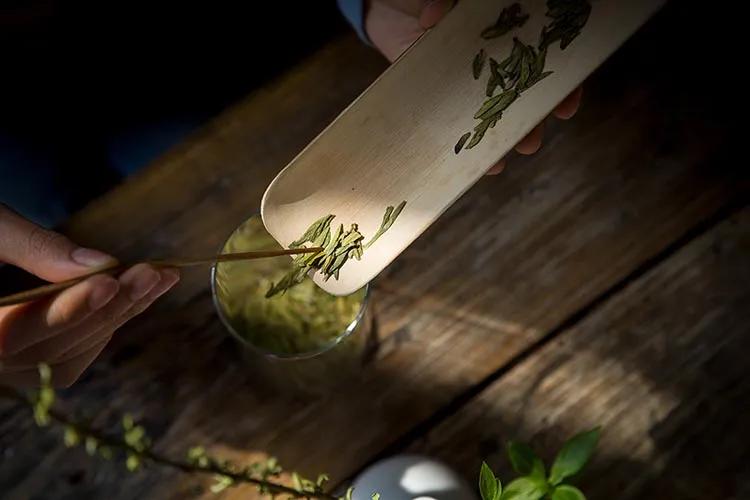 如何品茶才知绿茶好坏,绿茶品鉴方法