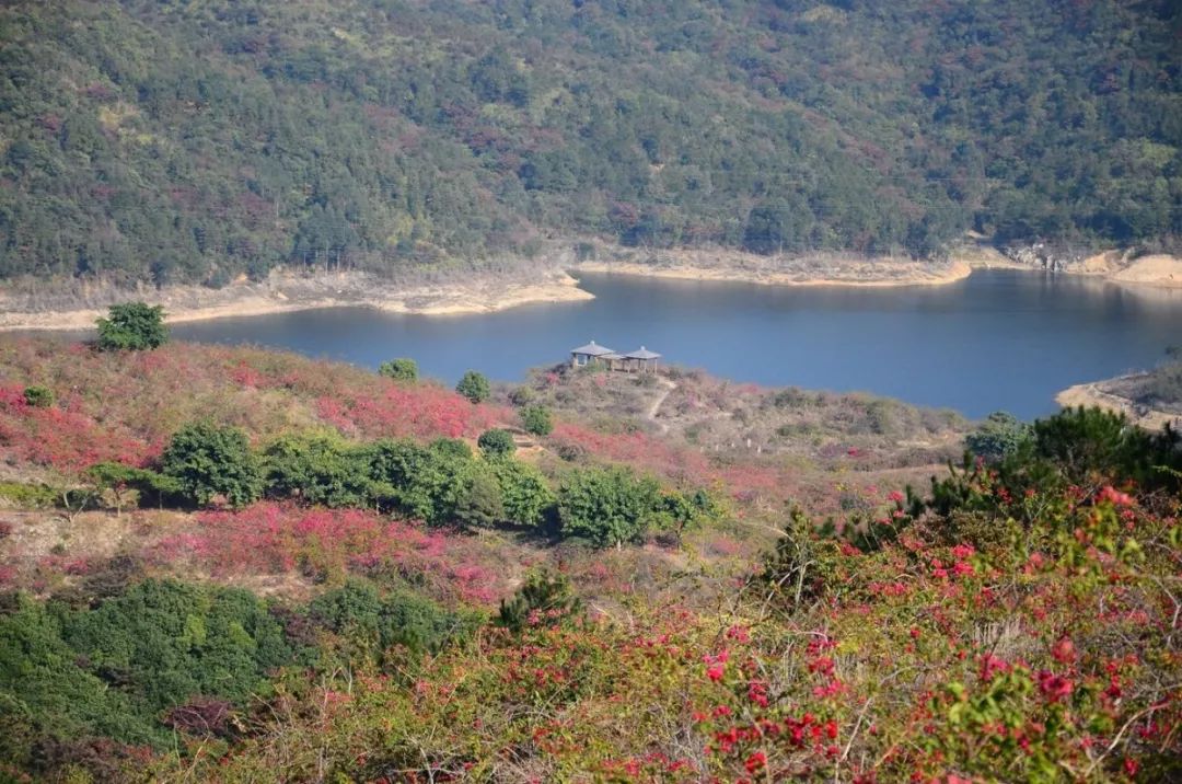 广州地铁13号线沿线风景,一路风景一路歌抖音完整版