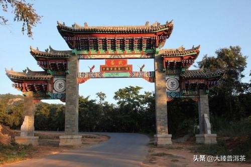 易武正山简介,易武正山怎么样