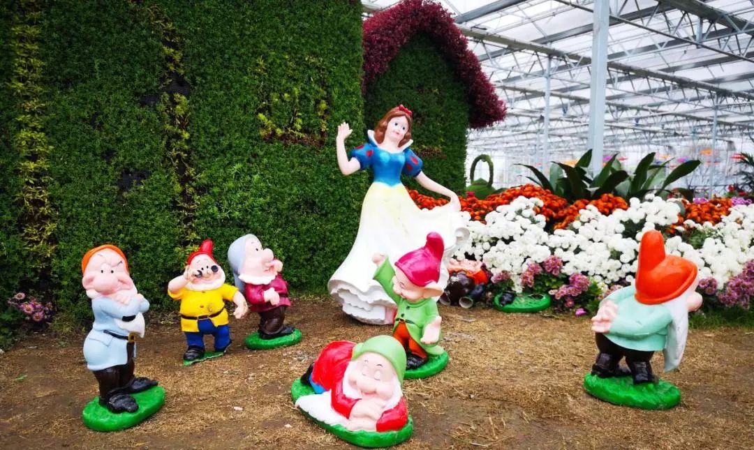 转发此推文，享绍兴平水海丰菊园半价票，更更更送自采菊花一束