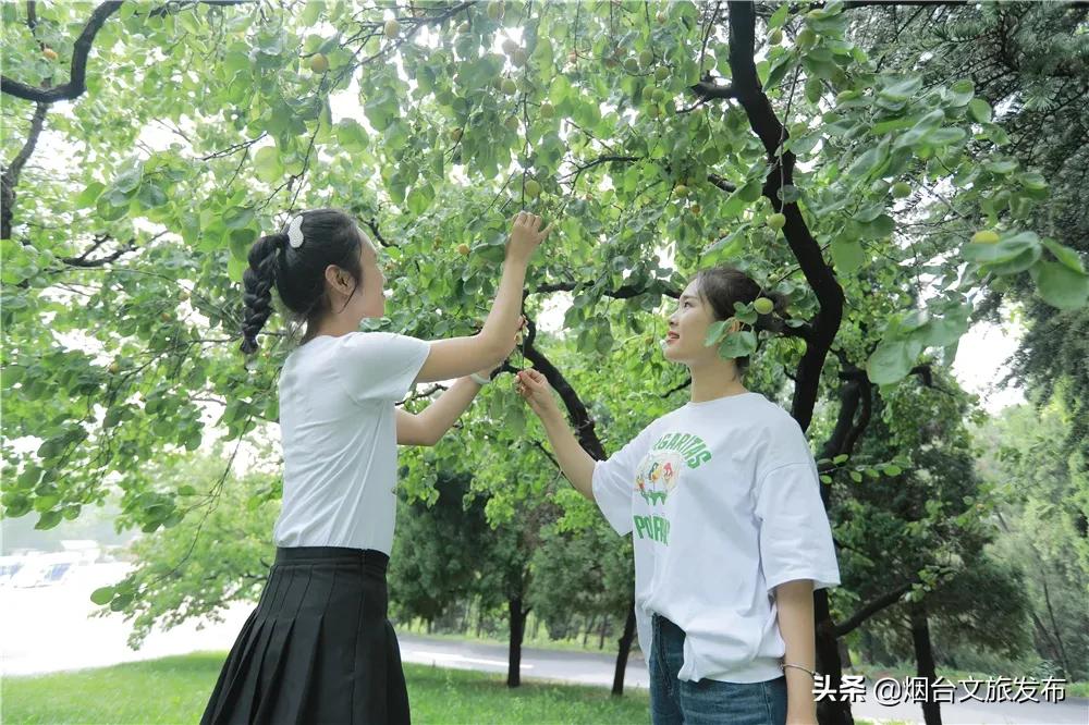 烟台龙口南山，不可错过的端午【打卡地】