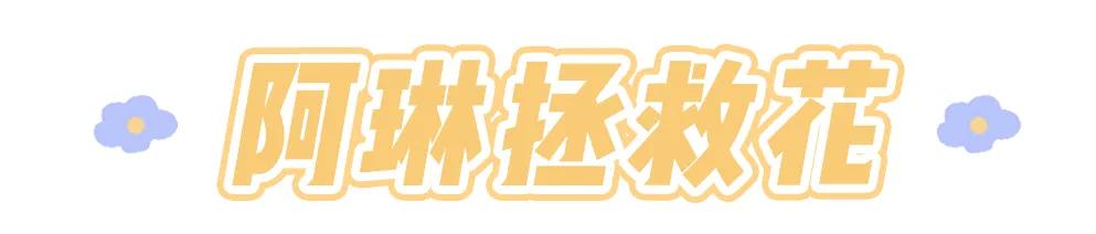 胖mm大码女装推荐内搭,大码胖妹妹穿搭店铺推荐