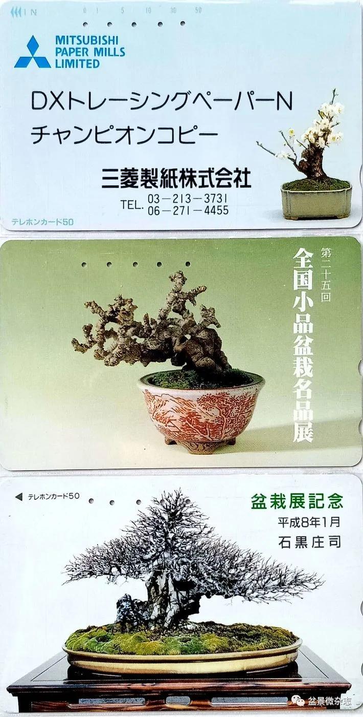 鐩嗘櫙鑱旂郴鐢佃瘽,鐩嗘櫙鑱旂郴鐢佃瘽鍙风爜