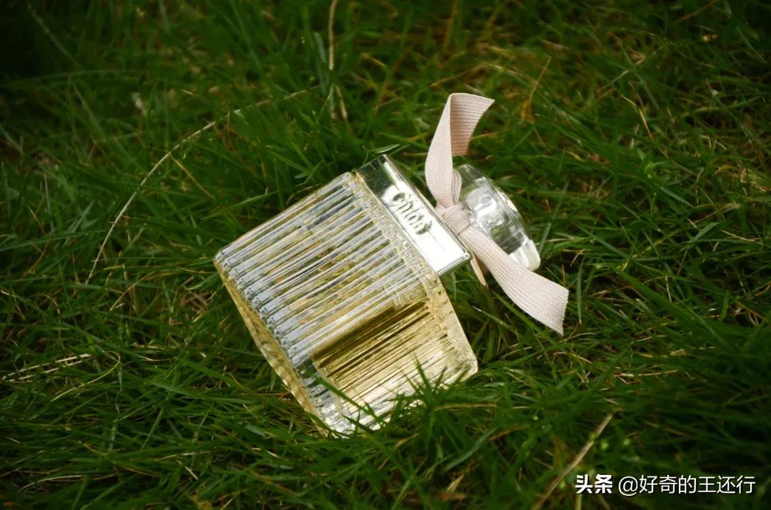 蔻依香水哪款最值得买,蔻依蓝色包装的香水