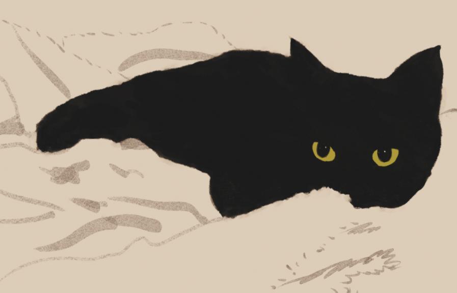 虽强但不具有深刻性，虚浮现实主义者，性格思维升华蜕变之狮子篇