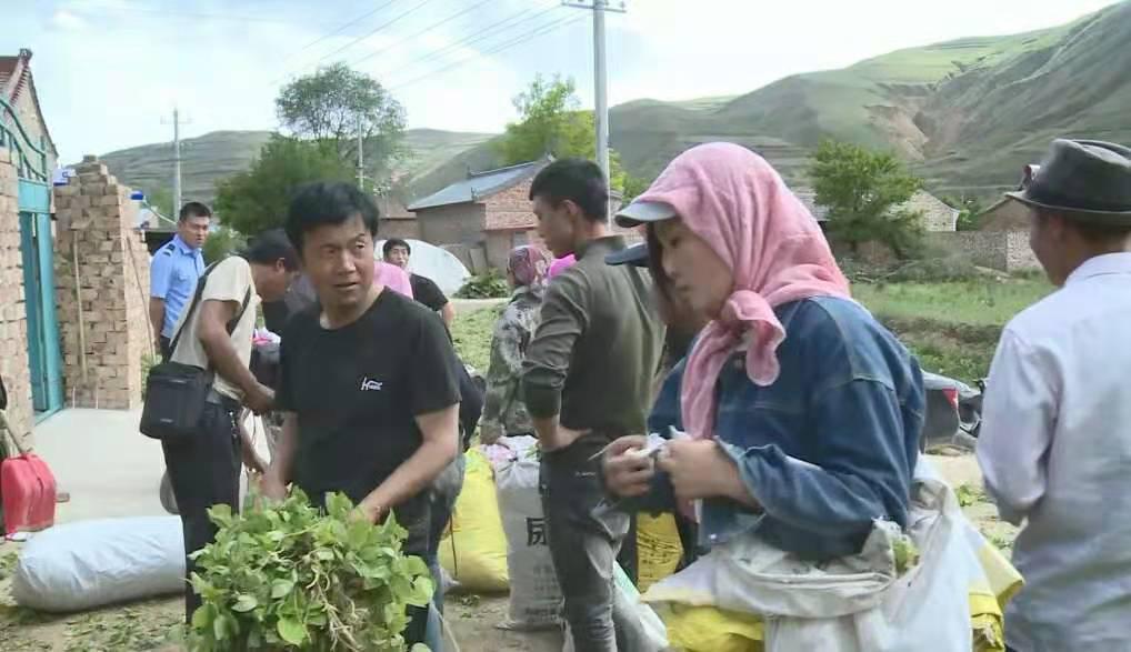 扶贫项目有什么生意可以做,扶贫致富中草药