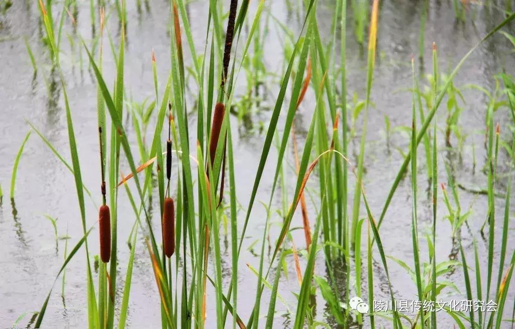 晋城陵川“蒲水”：这里是神仙住的地方