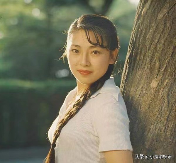 李连杰婚外情,李连杰两段婚姻