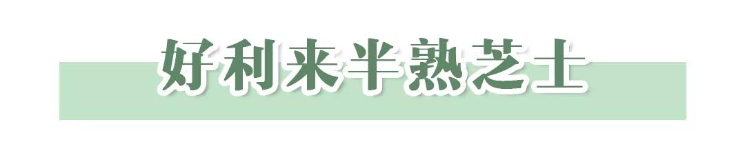 回购率最高的10种美食,回购率最高有特色的零食