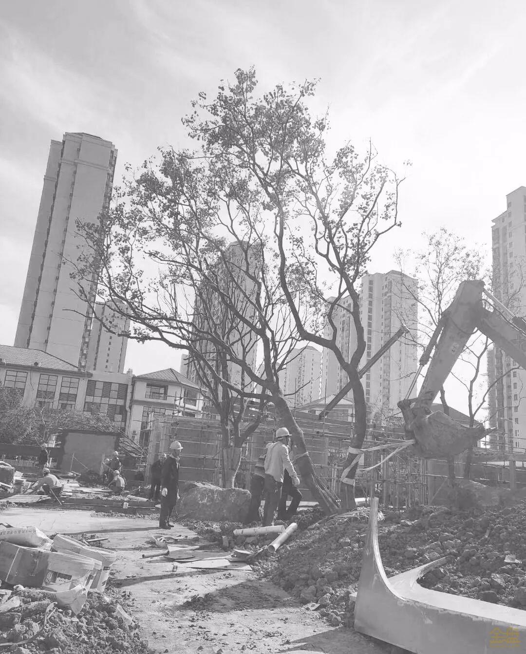 苏州阳光城檀苑,苏州阳光城檀苑公示