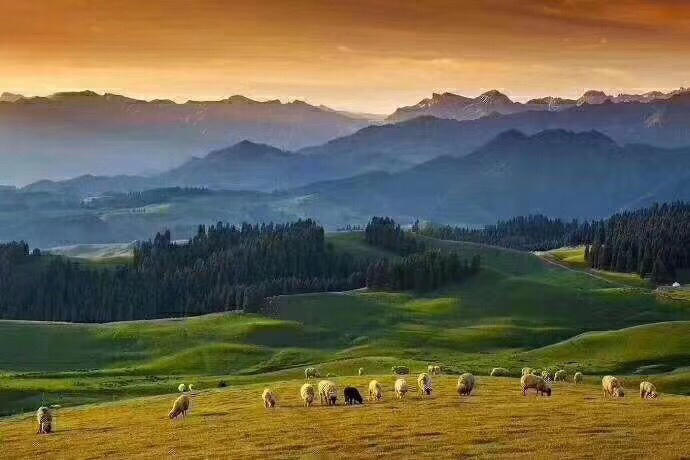 环游之旅新疆,北疆环线喀纳斯赛里木湖8日游