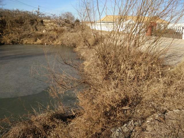 千年的鱼籽万年的草籽什么意思,千年草籽万年鱼籽是什么意思