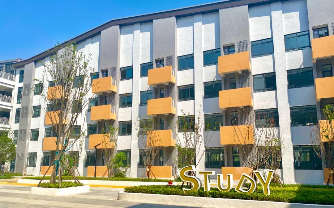 成都龙江路小学新城分校,龙江路小学新津分校的动工