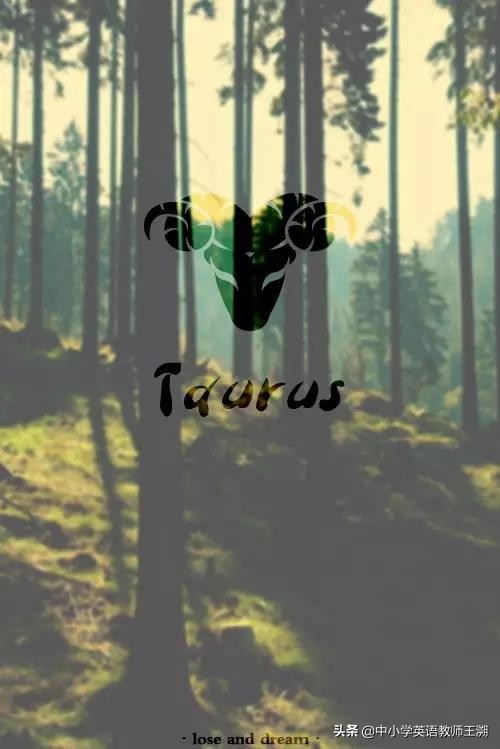 趣味英文字母学习与发音,趣味学英语经典语法