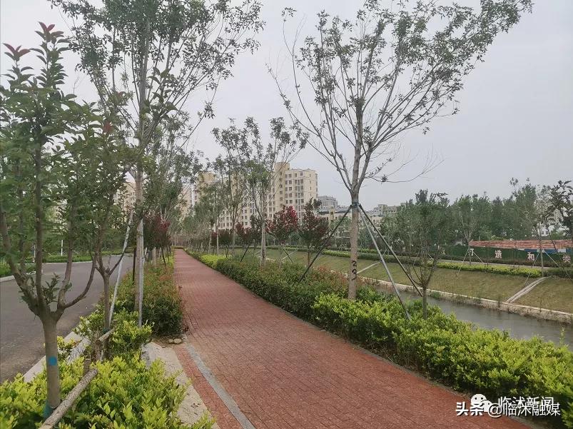 临沭一园六路规划,临沭县建设投资