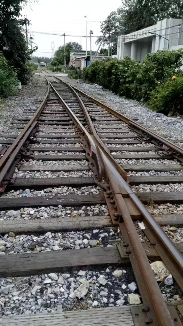 抓不住爱情的歌词,抓不住的爱情文案